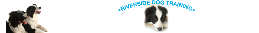 Riverside Dog Training